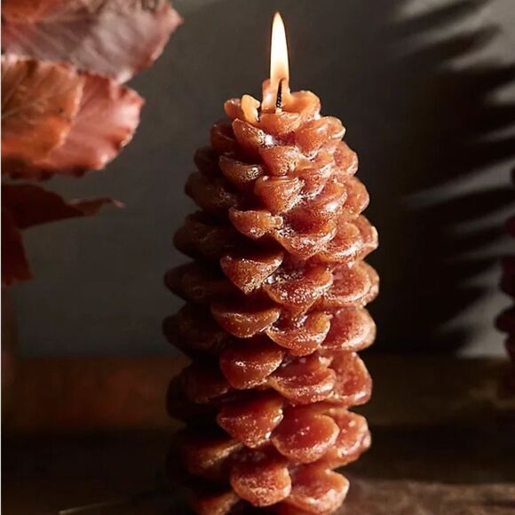 Anthropologie Unscented Pinecone Candle - Picture 1 of 6